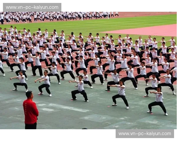 武术女队：力量与优雅的新时代象征